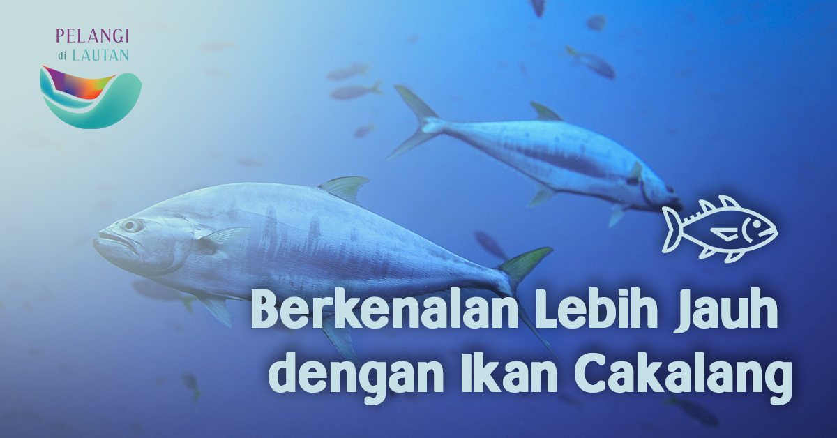 Kosakata Nama Ikan Dalam Bahasa Inggris Dan Artinya Terlengkap